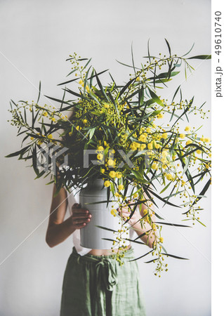 Spring mimosa branches in vase in hand of young Spring mimosa branches in vase in hand of young 49610740