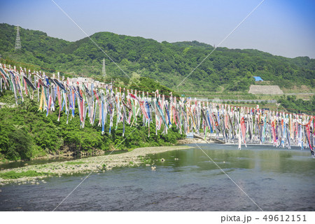 【泳げ鯉のぼり相模川】 49612151