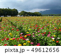 花畑 49612656