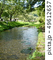 昼の小川 49612657