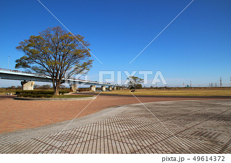 木曽三川公園・東海広場/愛知県愛西市立田町 木曽三川公園・東海広場/愛知県愛西市立田町 49614372