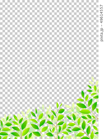 背景材料_木葉若葉青葉鮮綠 49614557