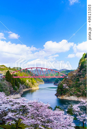 川畑橋と桜　【大分県日田市】 49615303