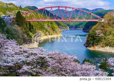 川畑橋と桜　【大分県日田市】 49615304