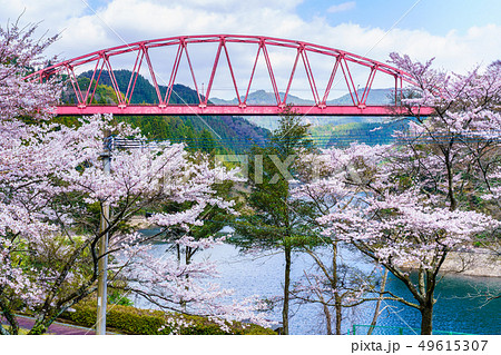 川畑橋と桜　【大分県日田市】 49615307