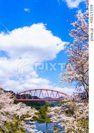 川畑橋と桜　【大分県日田市】 49615309