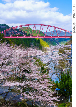川畑橋と桜　【大分県日田市】 49615312