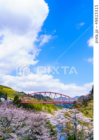 川畑橋と桜　【大分県日田市】 49615315