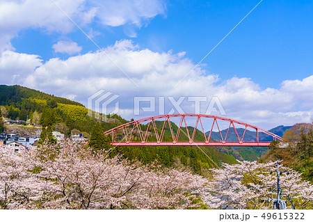 川畑橋と桜　【大分県日田市】 49615322