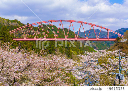 川畑橋と桜　【大分県日田市】 49615323