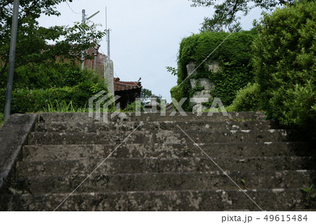 鳥取　四季の散歩　夏　紫陽花 東光寺 49615484