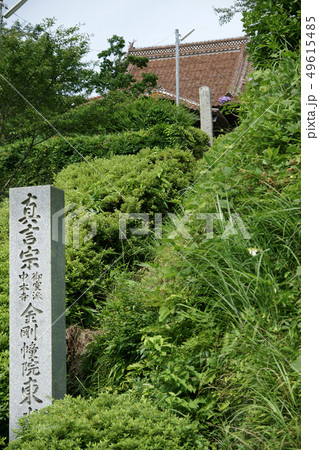 鳥取　四季の散歩　夏　紫陽花 東光寺 49615485