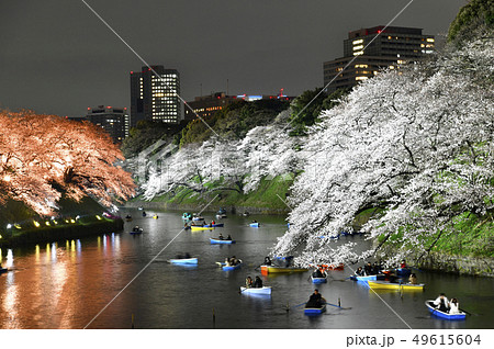 日本の東京都市景観　平成最後の千鳥ヶ淵の桜などを望む（ボートで花見）・夜景 49615604