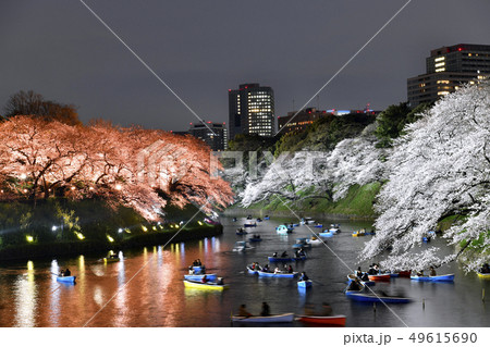 日本の東京都市景観 千鳥ヶ淵・平成最後の桜を望む(ボートで花見)・夜景 日本の東京都市景観 千鳥ヶ淵・平成最後の桜を望む(ボートで花見)・夜景 49615690