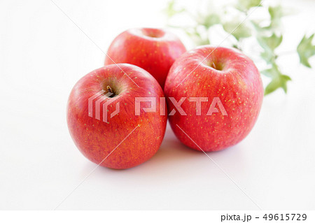 りんご サンふじ りんご サンふじ 49615729
