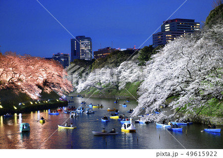 日本の東京都市景観 千鳥ヶ淵・平成最後の桜を望む(ボートで花見)・夜景 日本の東京都市景観 千鳥ヶ淵・平成最後の桜を望む(ボートで花見)・夜景 49615922