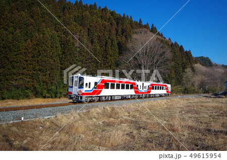 三陸鉄道リアス線と山林 49615954