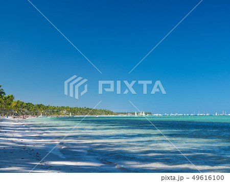 Tropical seashore with palm trees 49616100