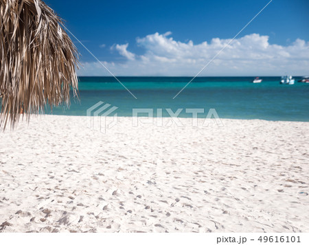 Tropical shore with thatched palapa. View on 49616101