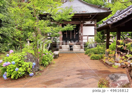 雨に濡れる資福寺 49616812