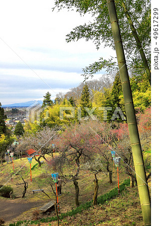 湯田川温泉 梅林公園 湯田川温泉 梅林公園 49617299