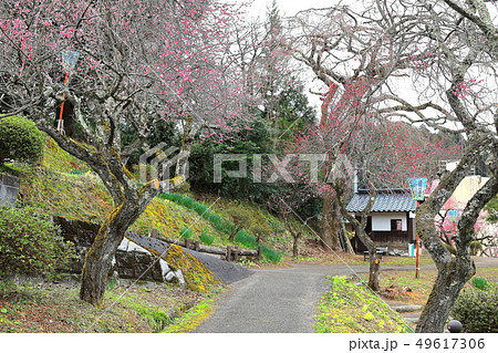 湯田川温泉 梅林公園 湯田川温泉 梅林公園 49617306