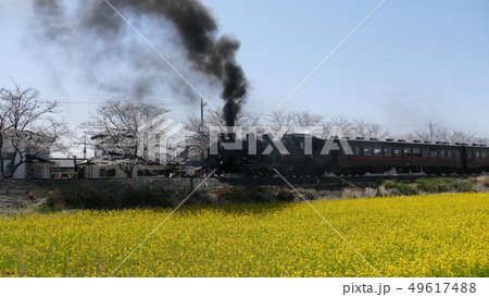 真岡鐵道 SL 49617488