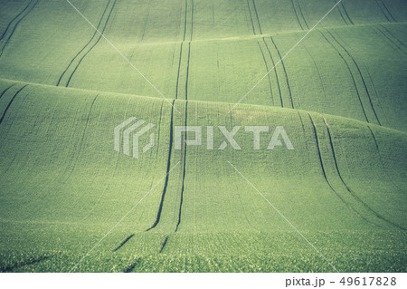 Landscape with Green Hills Landscape with Green Hills 49617828