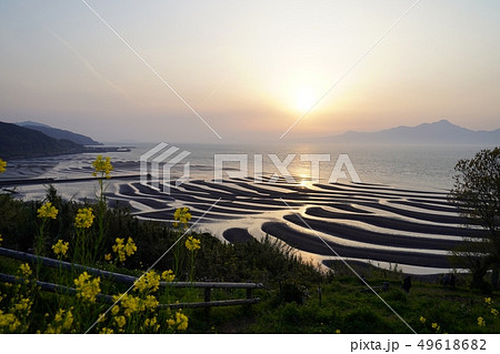 干潟が美しい午後の御輿来海岸 49618682