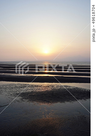 干潟が美しい午後の御輿来海岸 49618704