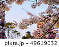 犬山城と桜 49619032