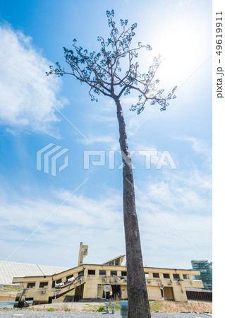 岩手県陸前高田市　奇跡の一本松 49619911