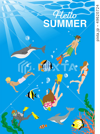ダイビングを楽しむ人々と南国の海の生き物たち 海中風景 文字付き Hello Summer のイラスト素材