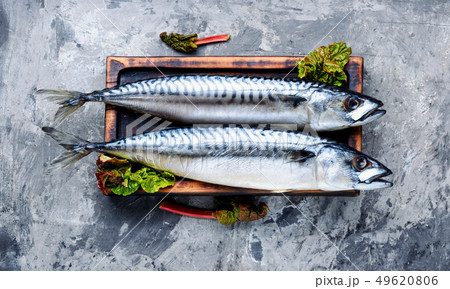 Smoked fish with herb Smoked fish with herb 49620806