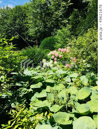 シークレットガーデン 秘密の庭 管理できない土地 3　 49621676