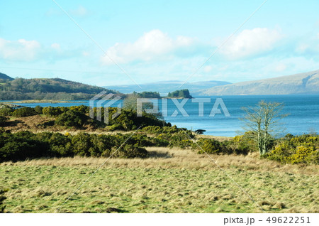 mull mull 49622251