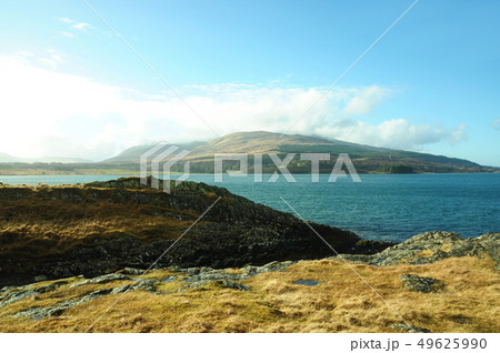mull mull 49625990