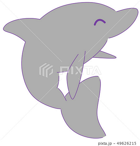 イルカ笑顔 49626215