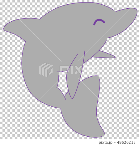 イルカ笑顔 49626215