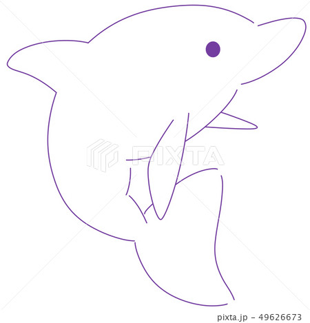 イルカ（ホワイト） 49626673