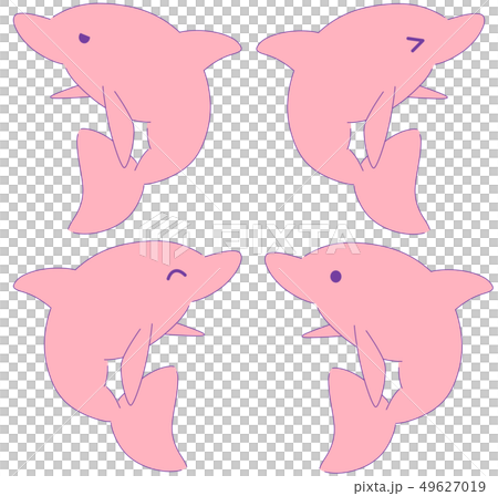 Dolphin summary (pink) Dolphin summary (pink) 49627019