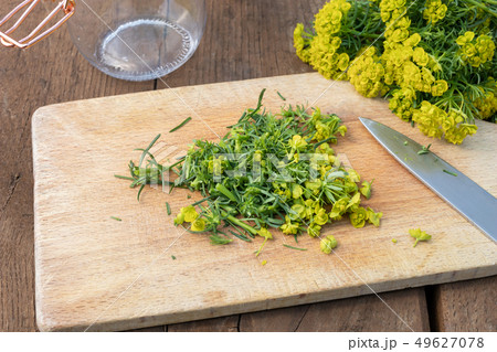 Cutting up cypress spurge to prepare tincture 49627078