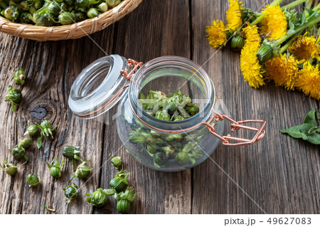 Preparation of false capers from dandelion buds Preparation of false capers from dandelion buds 49627083