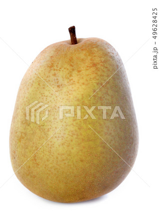 beurre hardy pear 49628425