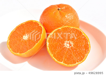 津之輝(柑橘類) 津之輝(柑橘類) 49628995