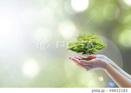 Saving world natural environment and sustainable  49632183