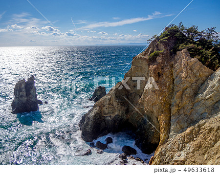 【伊豆半島ジオパーク】西伊豆黄金崎の風景【春】 49633618