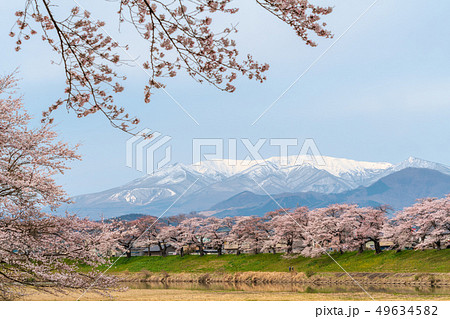 蔵王と一目千本桜 49634582