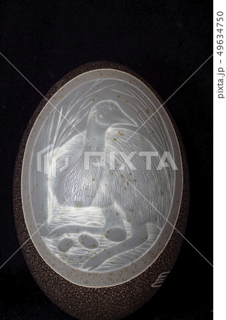 オーストラリア原住民の彫刻入りエミューの卵 49634750