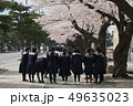 桜　さくら　青森県　十和田市　官庁街通り 49635023